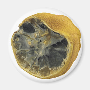 Rotten lemon magnet