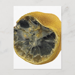 Rotten lemon postcard