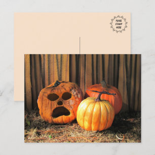 Rotten Pumpkins Halloween Postcard