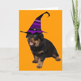 Rotten Witch Card