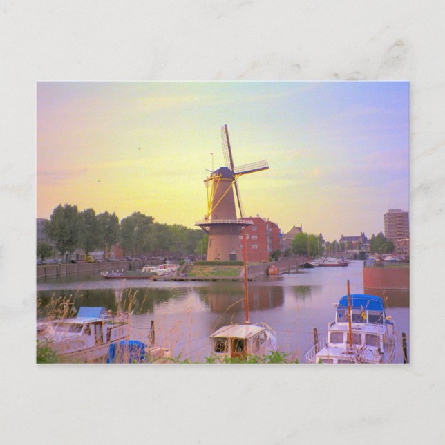 Rotterdam, historic ships, Schiedam windmill Postcard (Front)