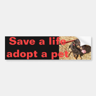 Rotti Mix Bumper Sticker