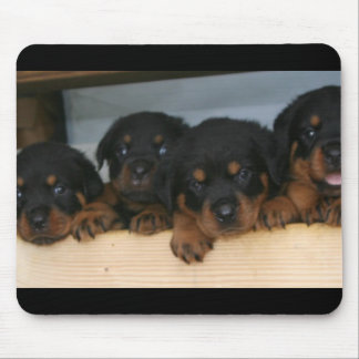rottie pups mouse mat