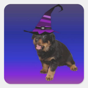 Rottie Witch Square Sticker