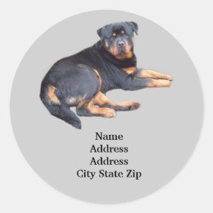 Rottweiler Address Label