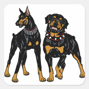 rottweiler and doberman square sticker