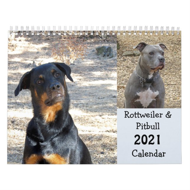 Rottweiler and Pitbull Calendar (Cover)