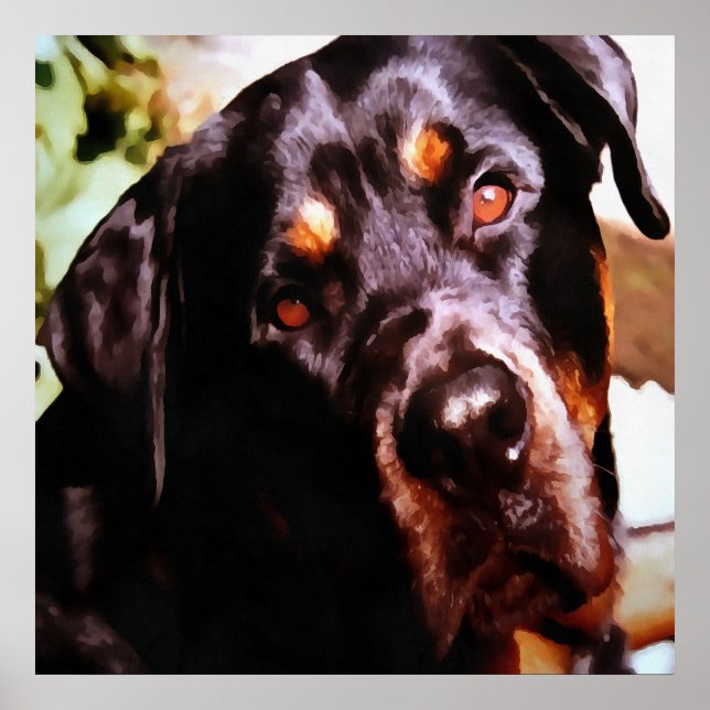 Rottweiler Artistic Pet Portait Poster (Front)
