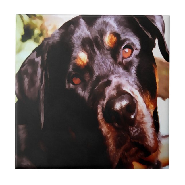 Rottweiler Artistic Pet Portait Tile (Front)