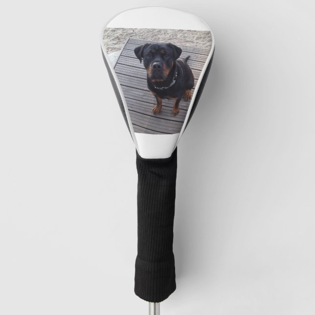 rottweiler at beach golf head cover (Front)