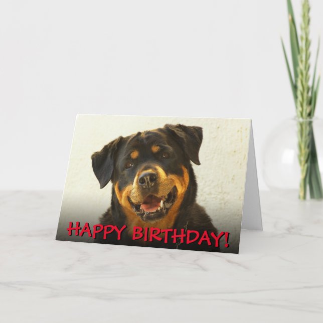Rottweiler birthday card (Front)