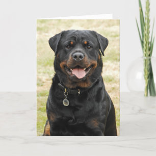 Rottweiler Birthday Card