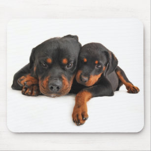 Rottweiler Brown & Black Puppy Dog Love Mouse Mat