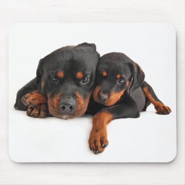 Rottweiler Brown & Black Puppy Dog Love Mouse Mat (Front)