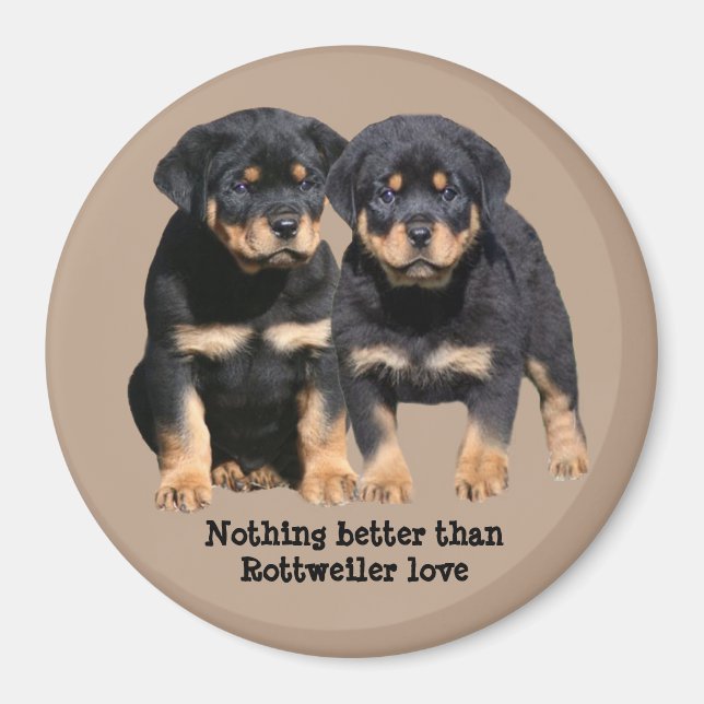 Rottweiler Buddies Magnet (Front)