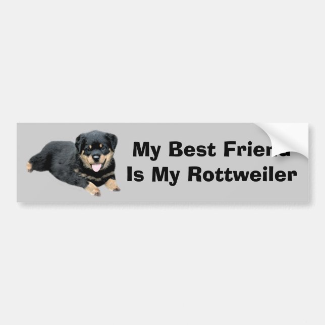 Rottweiler Bumper Sticker (Front)