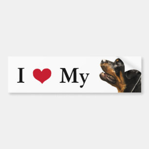 Rottweiler Bumper Sticker