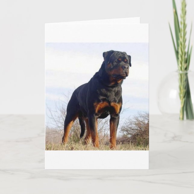 Rottweiler Card (Front)