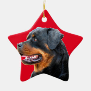 Rottweiler Ceramic Tree Decoration