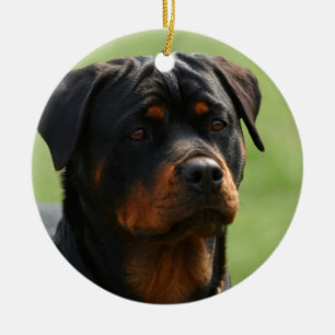 Rottweiler Ceramic Tree Decoration