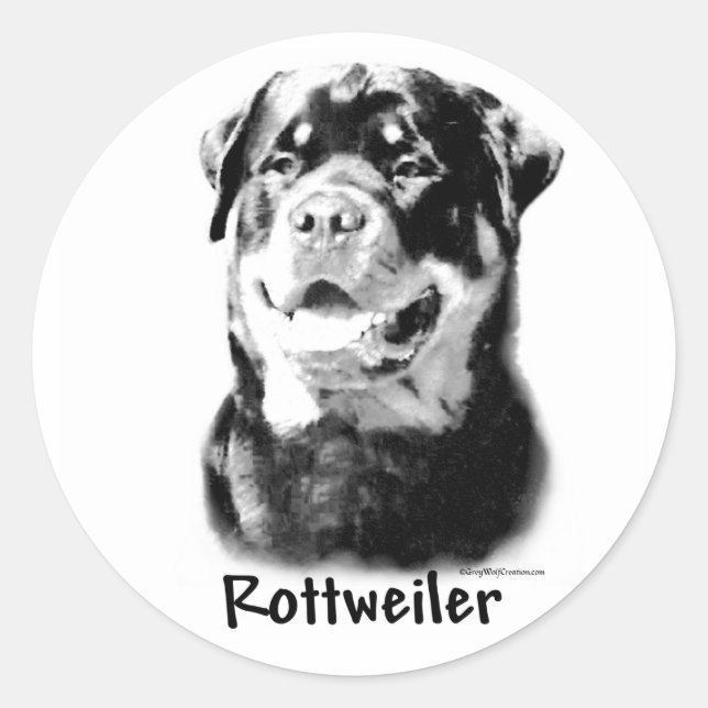 Rottweiler Charcoal Sticker (Front)