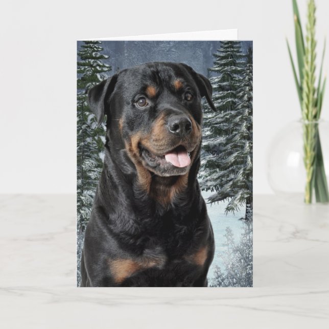 Rottweiler Christmas Card (Front)
