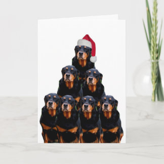 Rottweiler Christmas Holiday Card