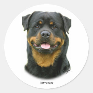 Rottweiler Classic Round Sticker