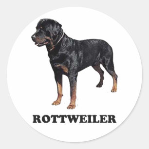 Rottweiler Classic Round Sticker