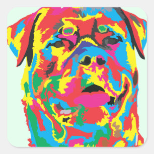 rottweiler colour square sticker