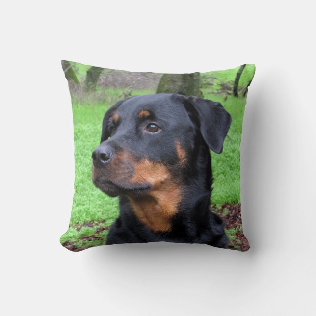 Rottweiler Daydreaming Pillow (Front)