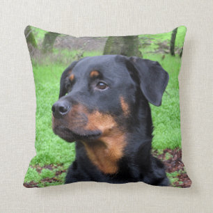 Rottweiler Daydreaming Pillow