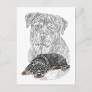 Rottweiler Dog Art Postcard