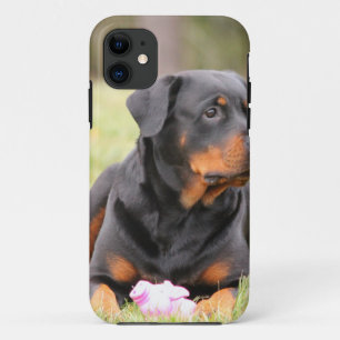 Rottweiler Dog iPhone 11 Case