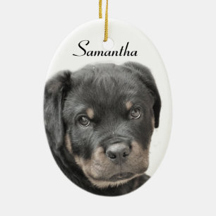 Rottweiler dog ceramic tree decoration