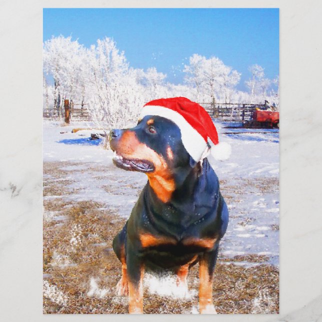 Rottweiler Dog Christmas Painting (Front)