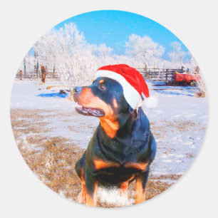 Rottweiler Dog Christmas Painting Classic Round Sticker