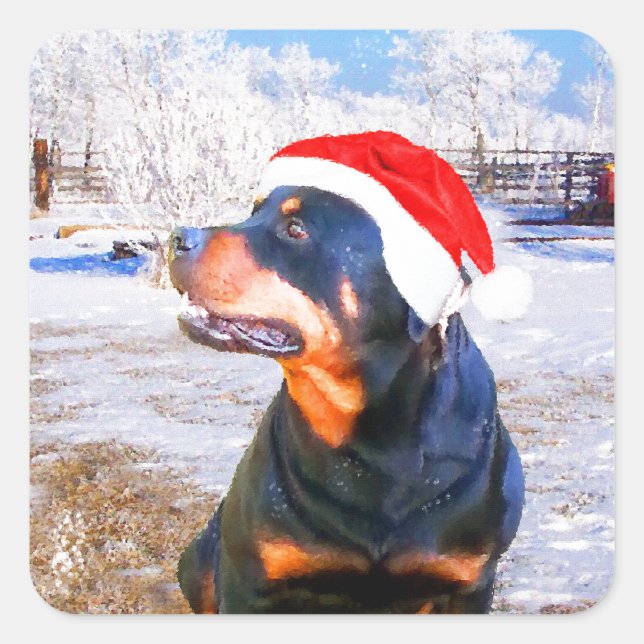 Rottweiler Dog Christmas Painting Square Sticker (Front)