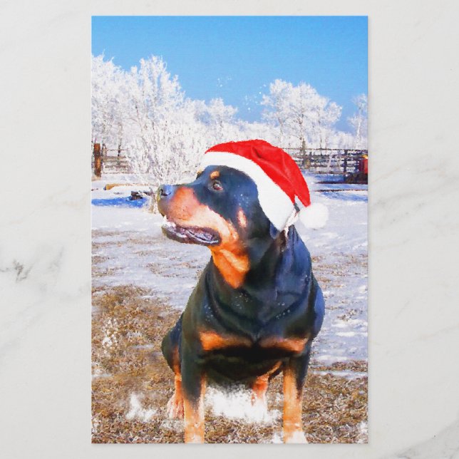 Rottweiler Dog Christmas Painting Stationery (Front)