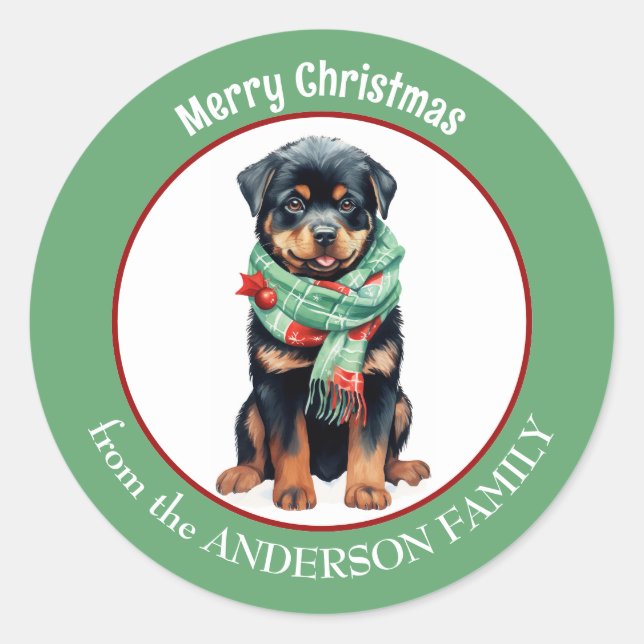 Rottweiler Dog in Red and Green Christmas Scarf Classic Round Sticker (Front)