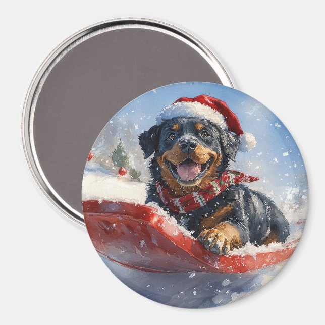 Rottweiler Dog in Sledge Let it Snow Christmas Magnet (Front/Back)