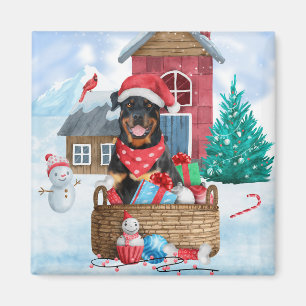 Rottweiler Dog In snow Christmas Dog House Magnet