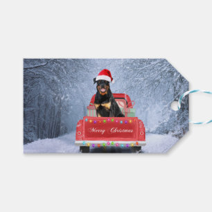 Rottweiler Dog in Snow sitting in Christmas Truck  Gift Tags