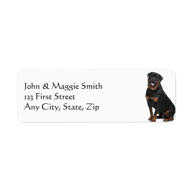 Rottweiler Dog Pet Animal (Front)