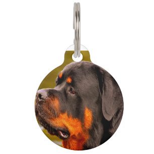 Rottweiler Dog Pet Tag