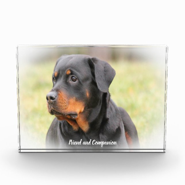 Rottweiler Dog Photo Block (Front)