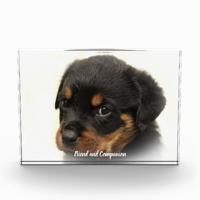 Rottweiler Dog Photo Block (Front)