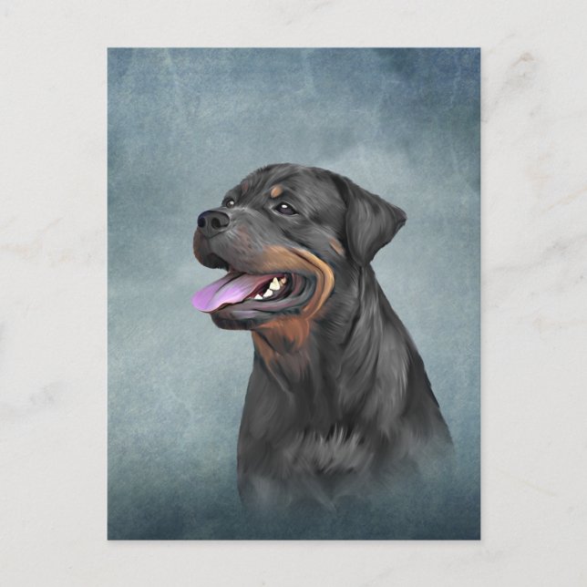 Rottweiler dog postcard (Front)