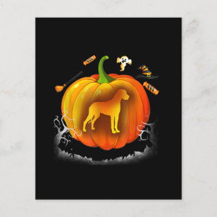 rottweiler dog pumpkin costume halloween