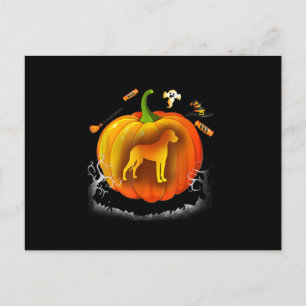 rottweiler dog pumpkin costume halloween postcard